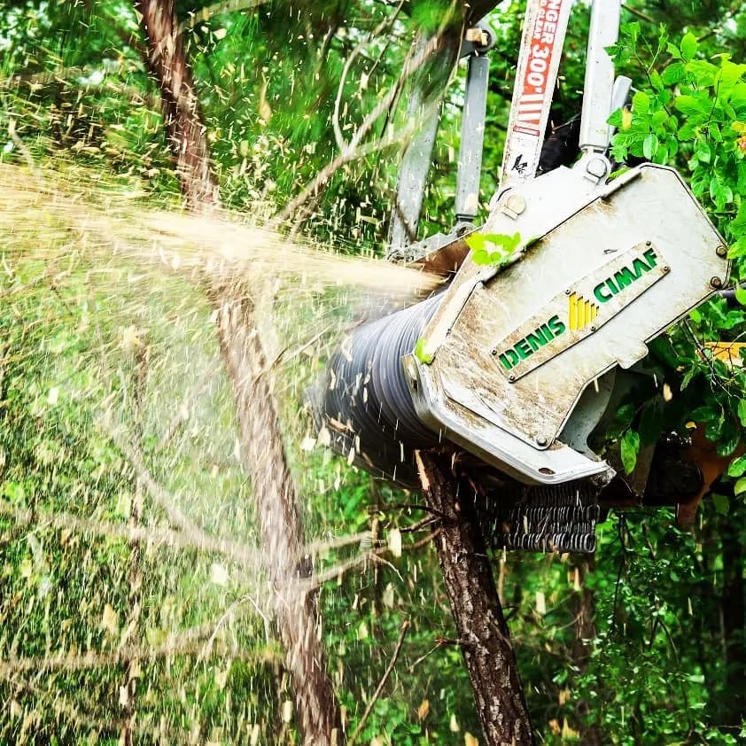 Denis Cimaf DAH Mulching Heads